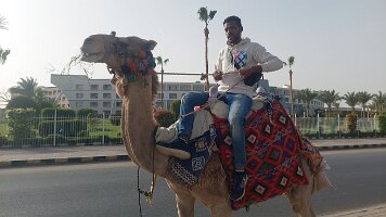 2026-01-28-15-07-41-449