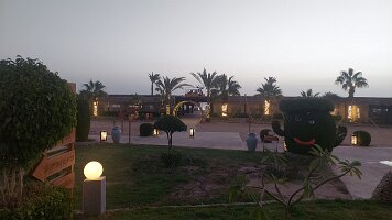 2026-01-29-06-22-29-091