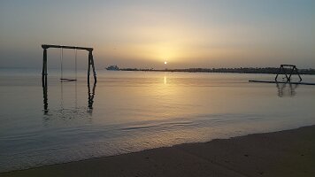 2026-01-29-06-44-19-096