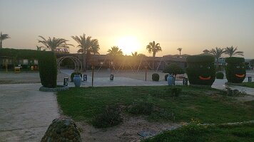 2026-01-29-06-48-22-294