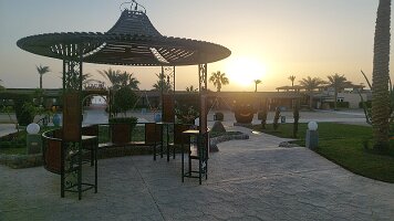 2026-01-29-06-49-09-421