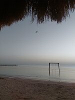 2026-01-31-06-23-43-425