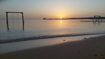 2026-01-31-06-37-38-559