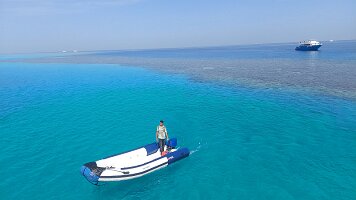 2026-02-01-11-36-38-527