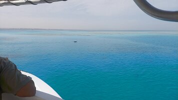 2026-02-01-11-38-37-052