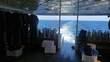 2026-02-02-14-31-46-037