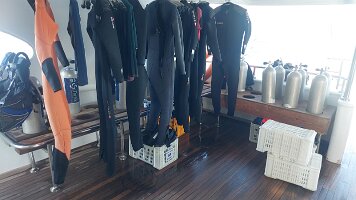 2026-02-02-14-31-52-868