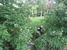 IMG_0003