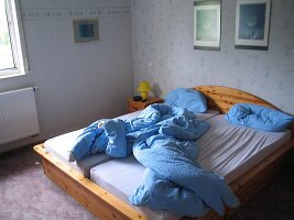 IMG_0006