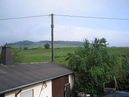 IMG_0008