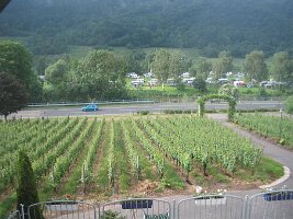 IMG_0009