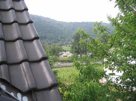 IMG_0012