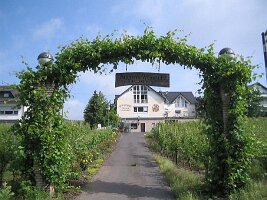 IMG_0020