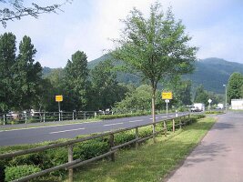 IMG_0023