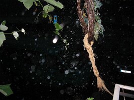 IMG_0047