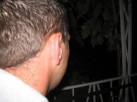 IMG_0053