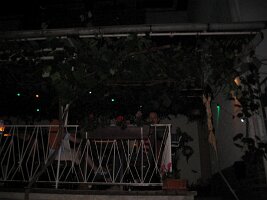 IMG_0054