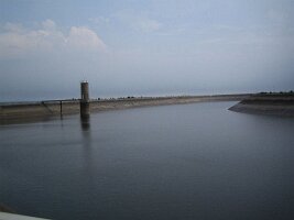 IMG_4241