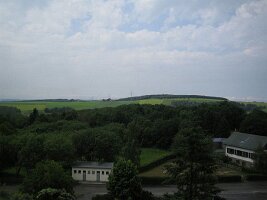 IMG_4247