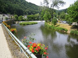 IMG_4249