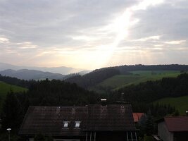 DSC00186