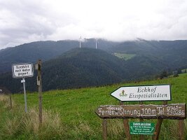 DSC00199