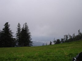 DSC00202