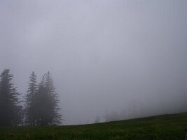 DSC00207