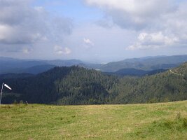 DSC00212