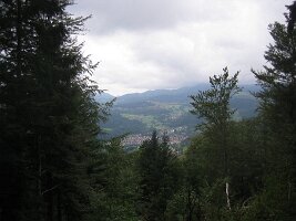 IMG_2841