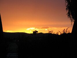 IMG_3173