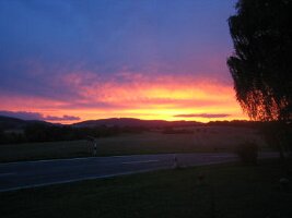 IMG_4168