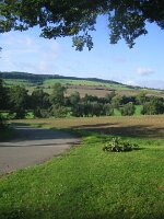 IMG_4212