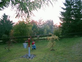 IMG_1205