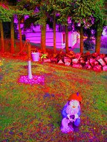 IMG_1207