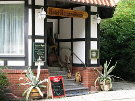 IMG_1239