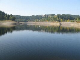 IMG_1272