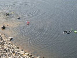 IMG_1277