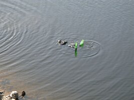 IMG_1278