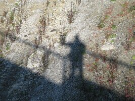IMG_1281