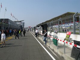IMG_4979