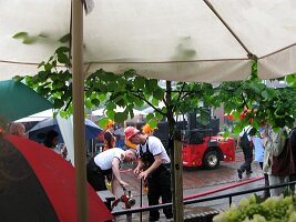 IMG_7207