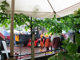 IMG_7208