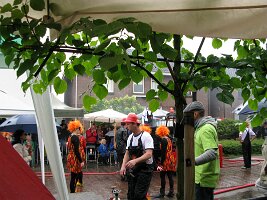 IMG_7210