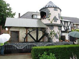 IMG_7253