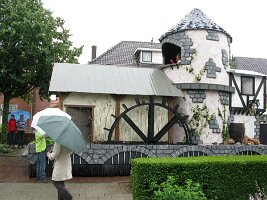IMG_7254