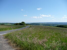 20130422_120932 (2)