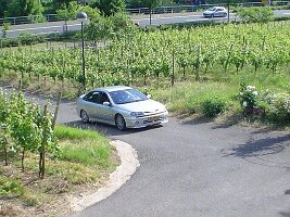 20130422_120946 (3)