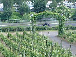 20130422_120946 (5)