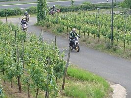 20130422_120946 (6)